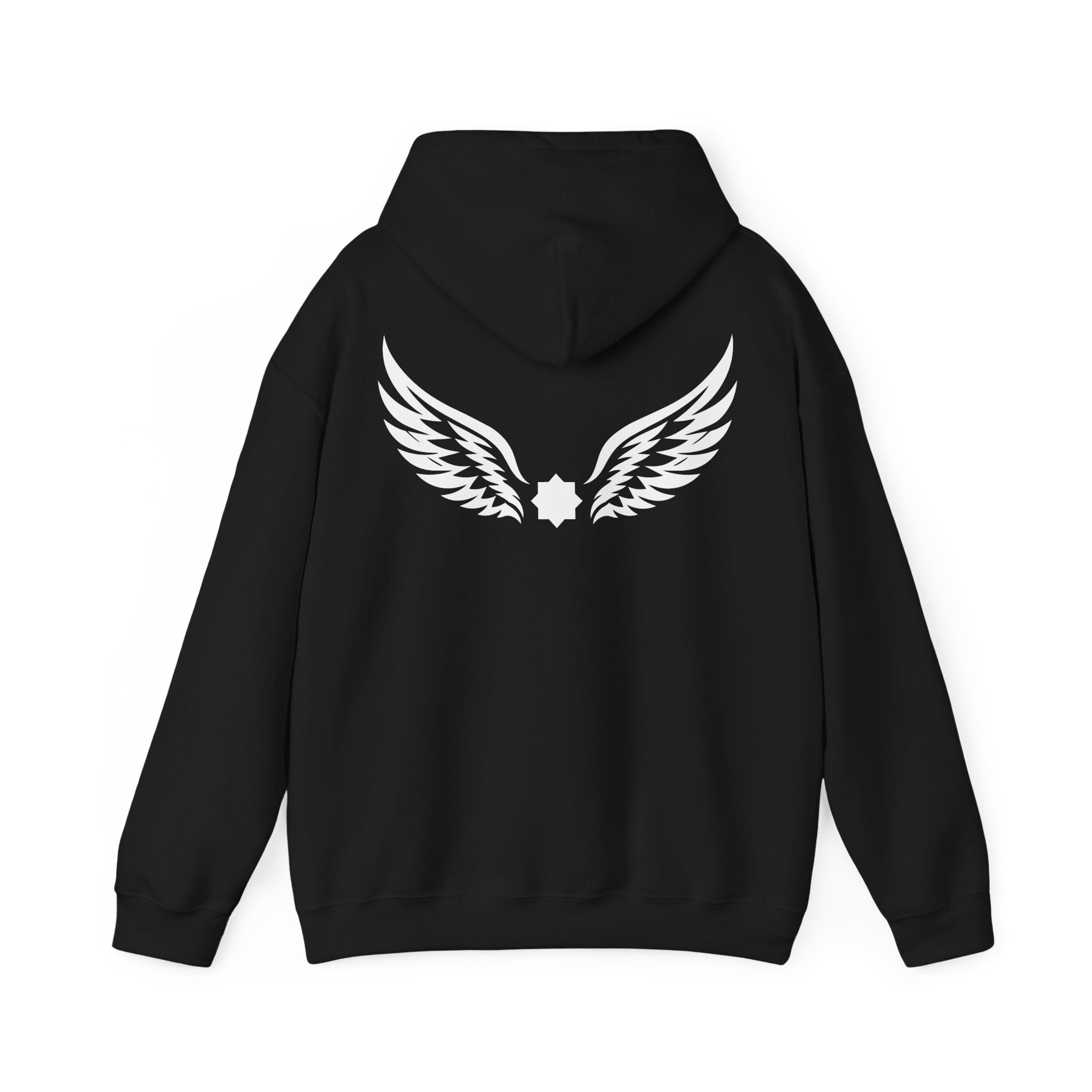 Falcon Wings Code 786 Hoodie (Back View) *WW*