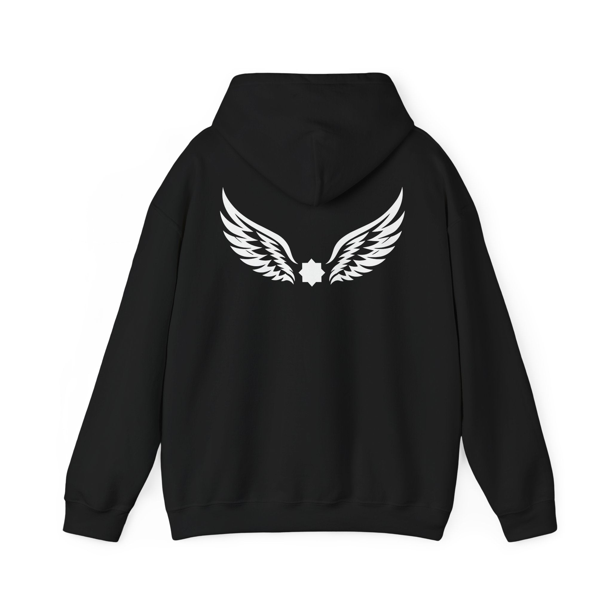 Falcon Wings Code 786 Hoodie (Back View) *USA-SOC*