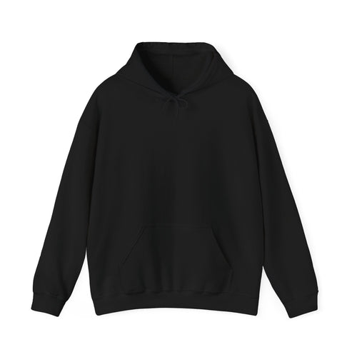 Falcon Wings Code 786 Hoodie (Back View) *WW*
