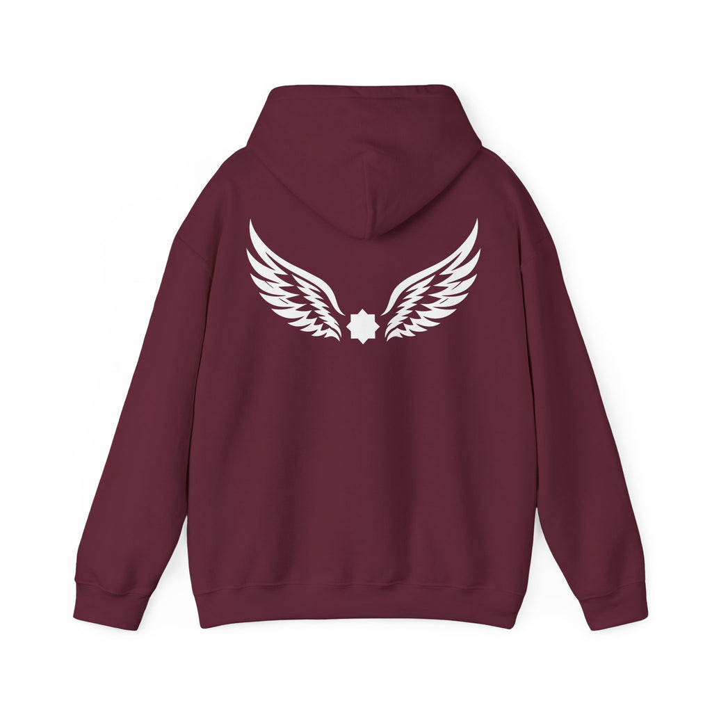 Falcon Wings Code 786 Hoodie (Back View) *WW*