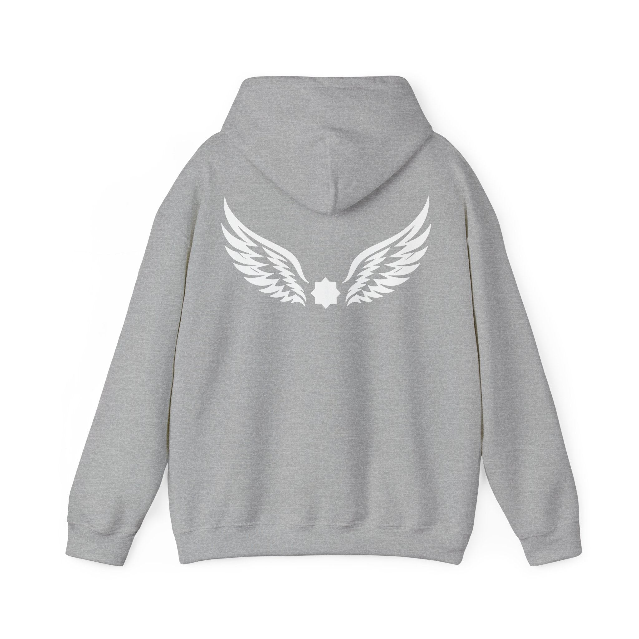 Falcon Wings Code 786 Hoodie (Back View) *WW*