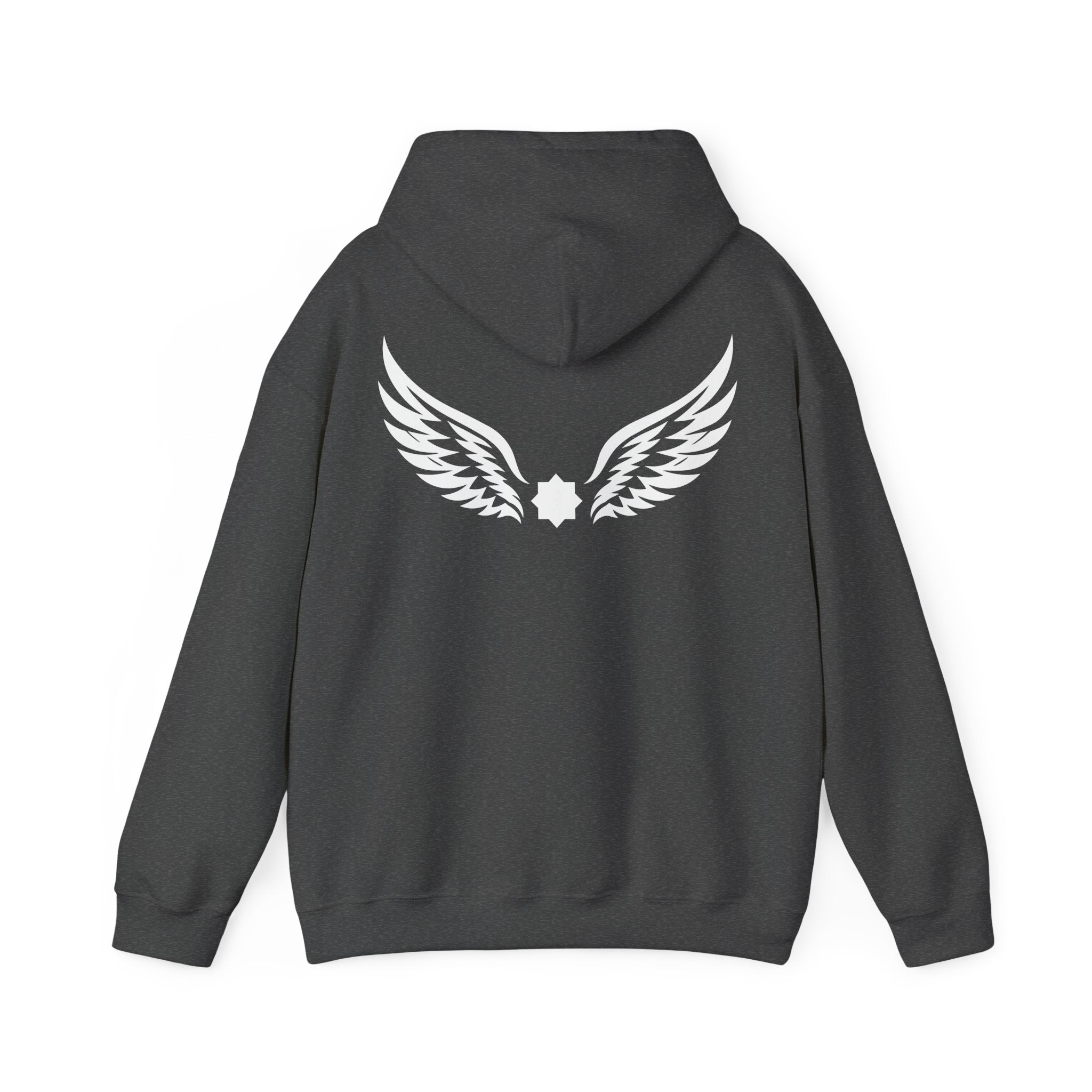 Falcon Wings Code 786 Hoodie (Back View) *WW*